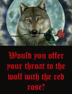 Wolf Rose