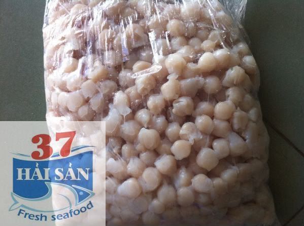 HaiSan37-Cung cấp sỉ và lẻ các mặt hàng hải sản tươi và khô - 22