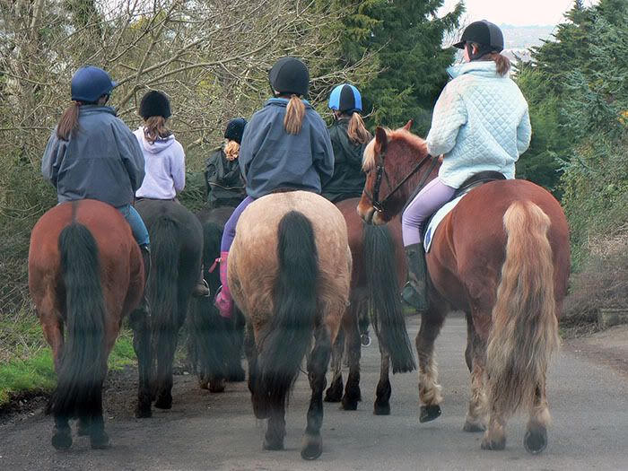 Forum Image: http://i212.photobucket.com/albums/cc106/potto_photo/ponytails.jpg