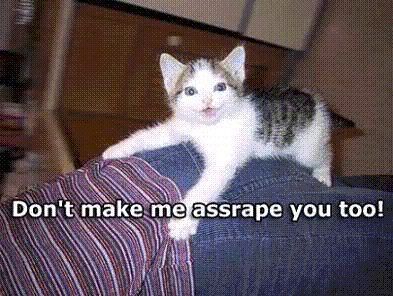 CatAssrape.jpg