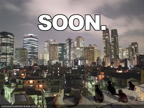 funny-pictures-soon-cats-city-skyli.jpg