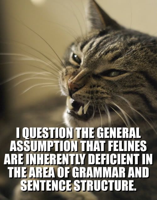 question-general-assumption.jpg