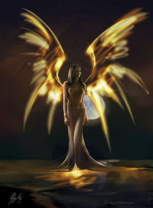 gold fairy Pictures, Images and Photos