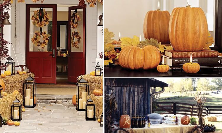 As a decorating staple during autumn the pumpkin often falls into the realm