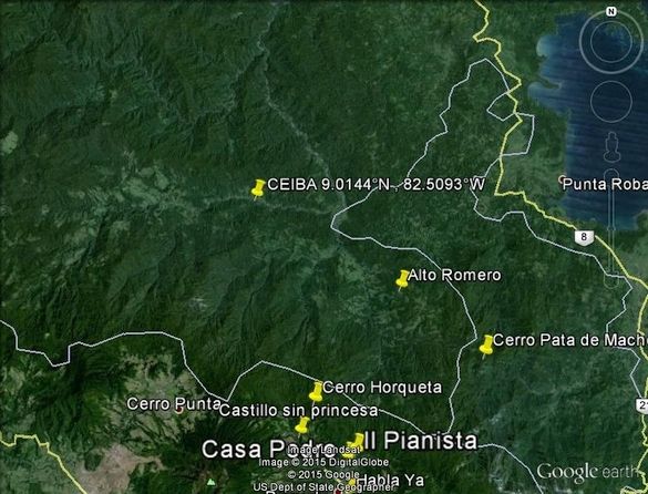 Ceiba.jpg