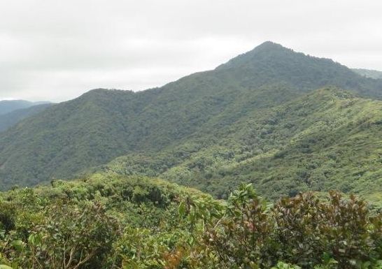cerro500.jpg