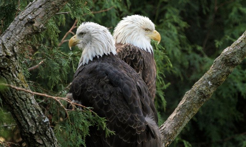 IMAGE: http://i212.photobucket.com/albums/cc13/lps4knk/f09fb1ab-264d-47c3-af5f-ab1484127aa8_zps8b56a1d0.jpg