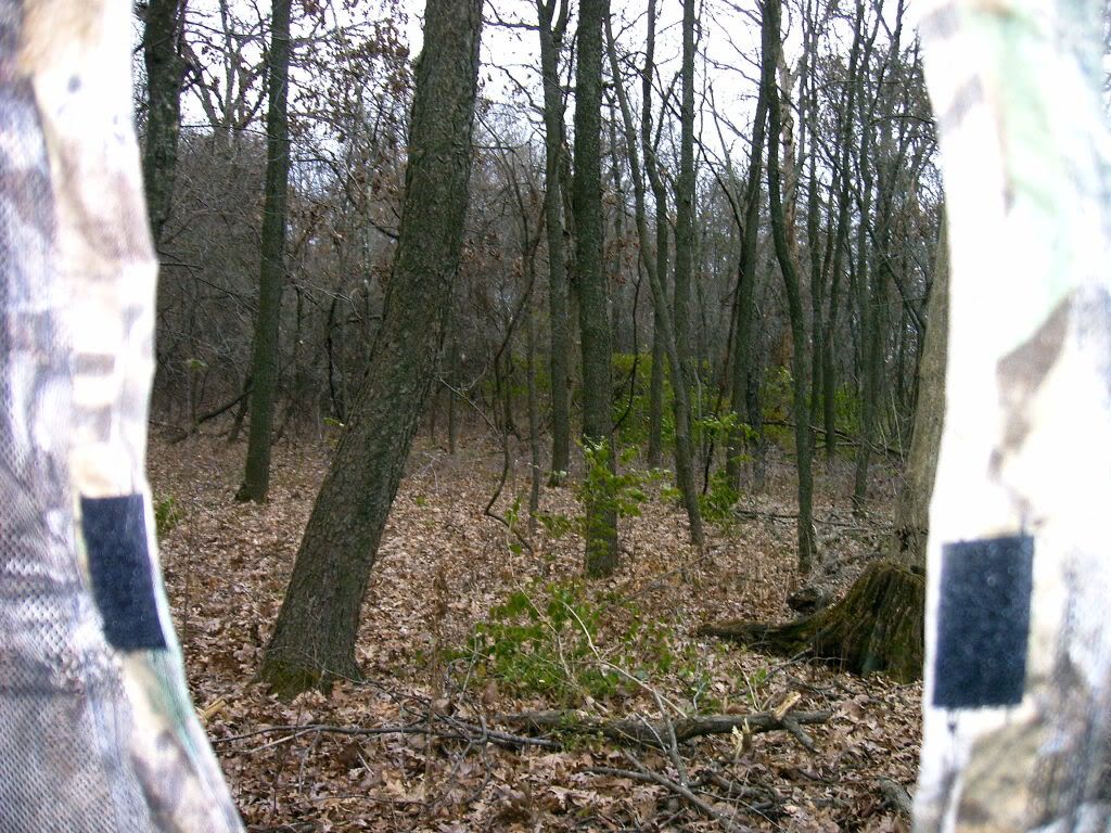 IMAG0107-1.jpg?t=1227513941