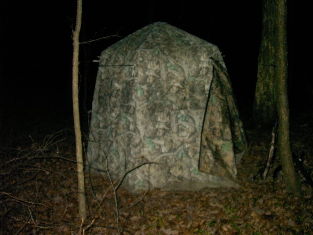 IMAG0112.jpg?t=1227513814