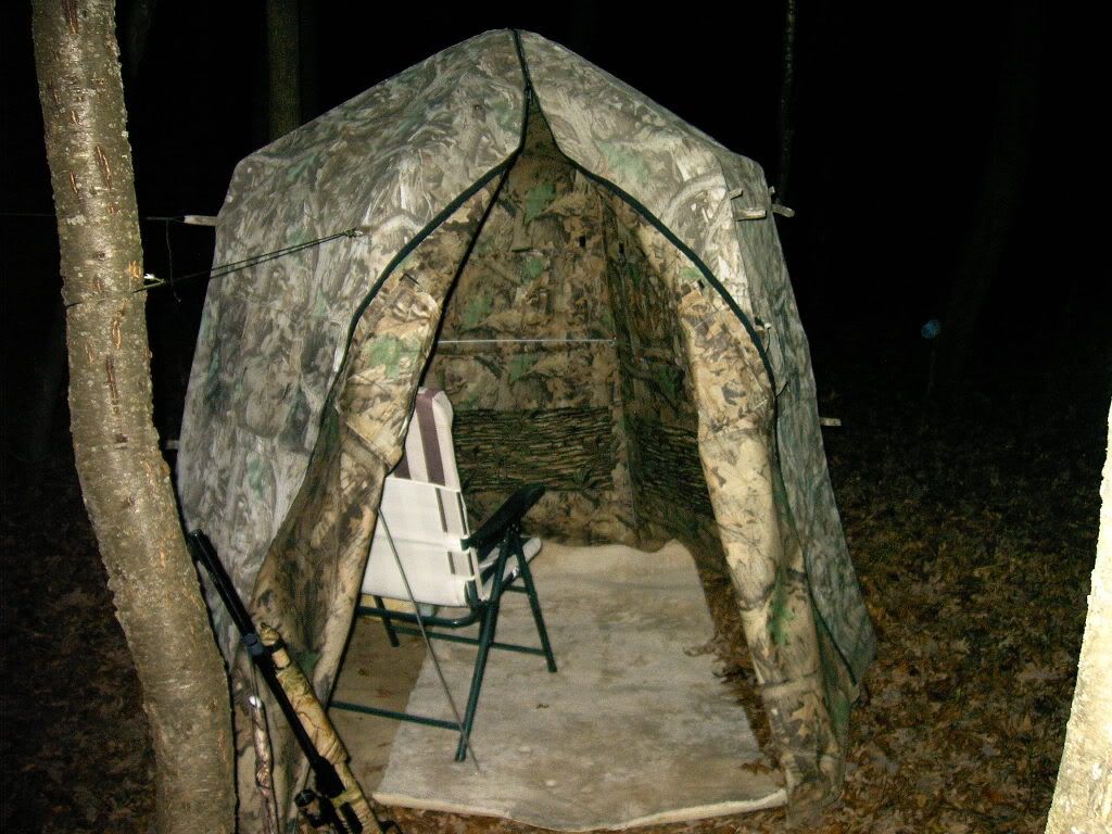 LUCKYSBLIND.jpg?t=1227513699