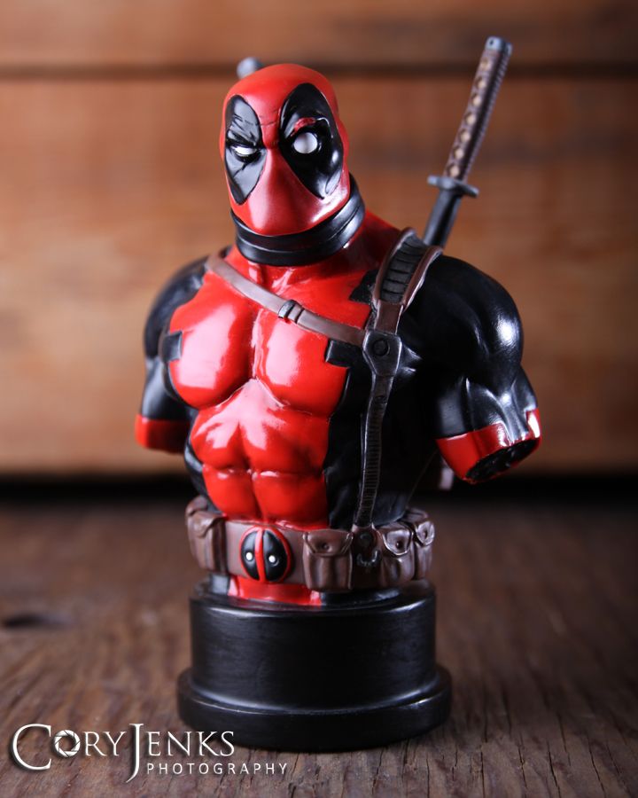 IMAGE: http://i212.photobucket.com/albums/cc16/corythosaurus/IMG_0004A_zpsf3a0ebbf.jpg