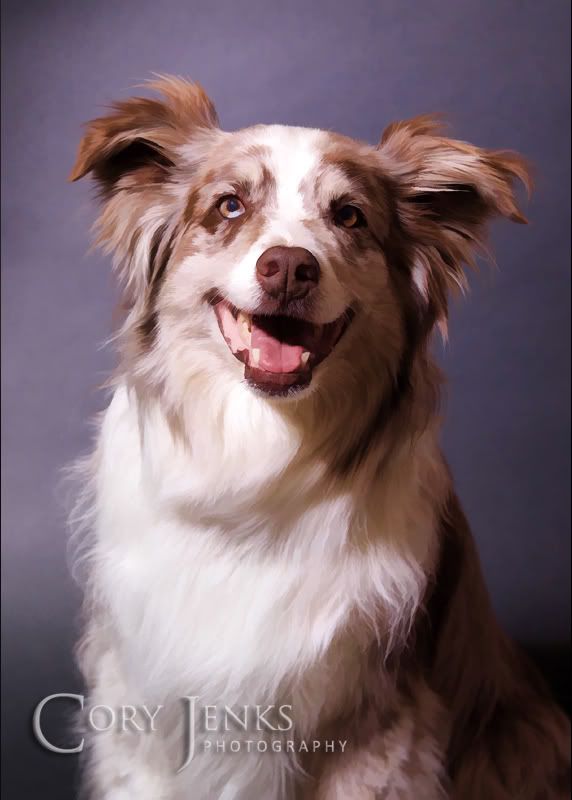 IMAGE: http://i212.photobucket.com/albums/cc16/corythosaurus/IMG_0026A.jpg