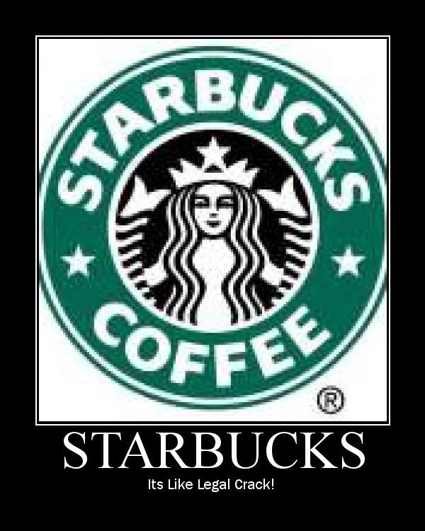 Lolcat Starbucks