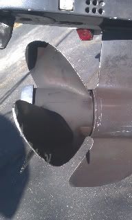 IMAG0173.jpg