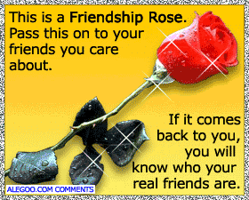 animated friendship photo: Animated Friendship Rose with a Saying about Friends AnimatedFriendshipRose.gif