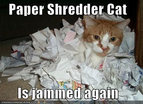 papershredderc128487564029062500.jpg