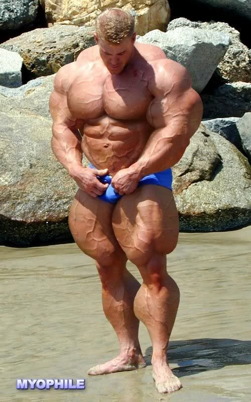 Bodybuiler.jpg