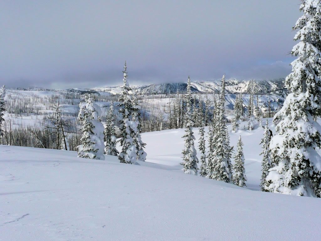 Snow2-15-08023.jpg