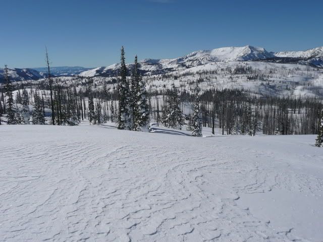 Snow2-15-08033.jpg