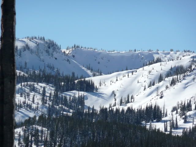 Snow2-15-08036.jpg