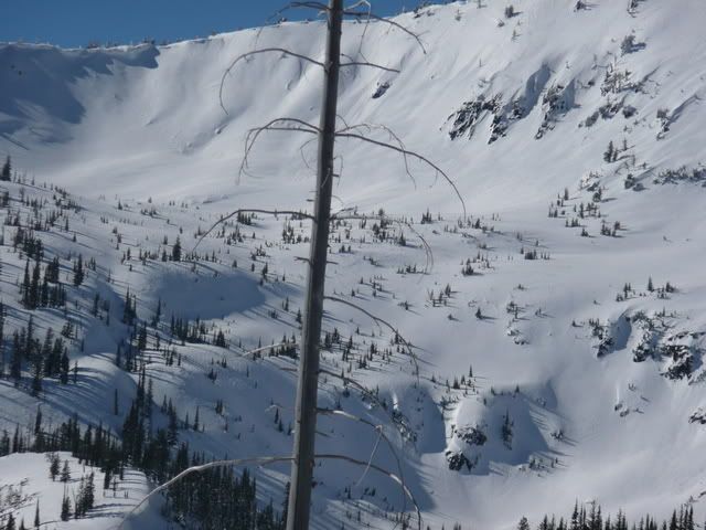 Snow2-15-08037.jpg