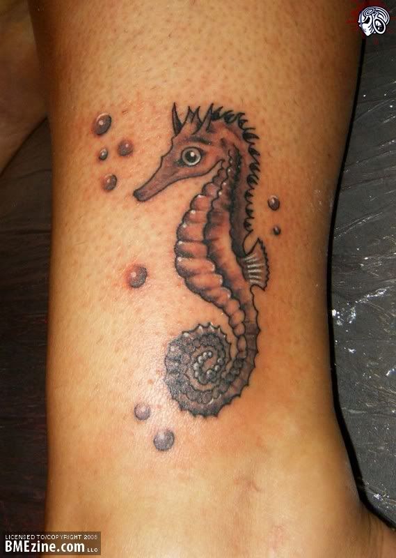ny1l-sea-horse.jpg tattoo