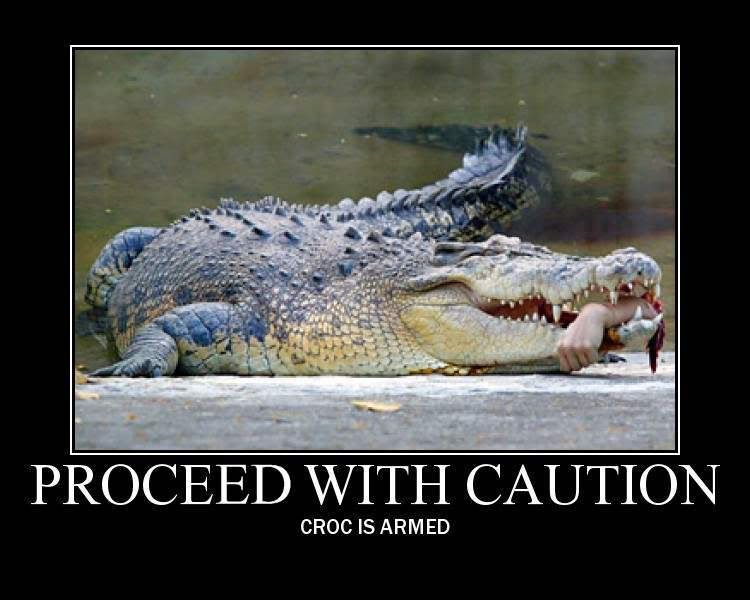 crocodile with hand photo: Proceed With Caution 1183443795893.jpg