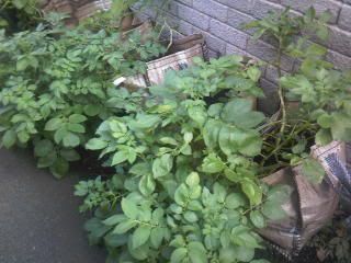 Photo-0222.jpg