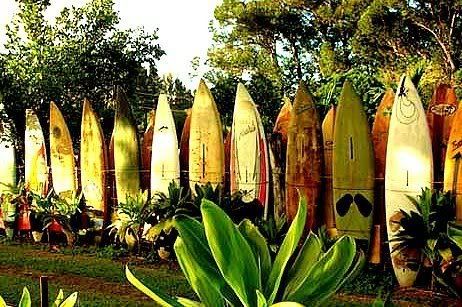 surf board Pictures, Images and Photos