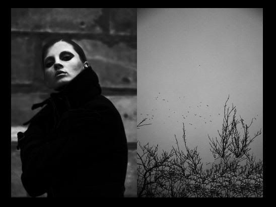 Black-White [Siyah Beyaz] Resimler (2. Katalog)