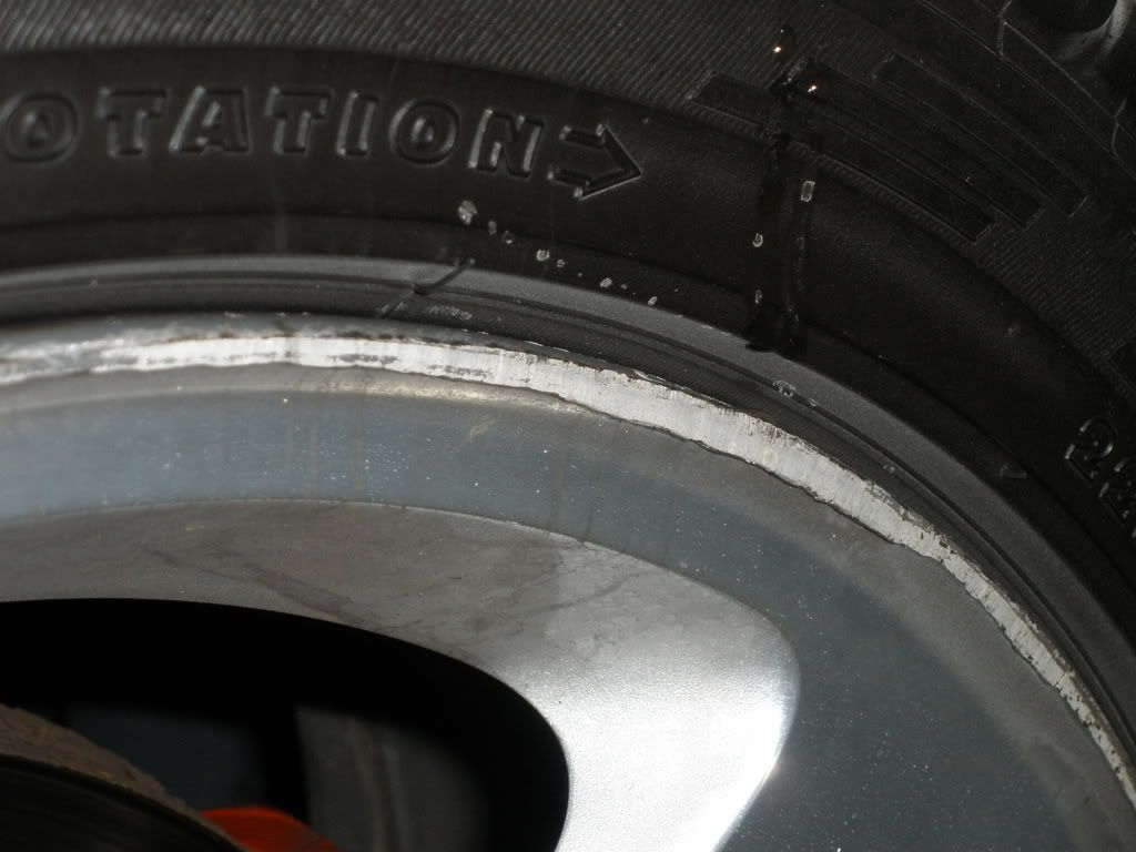 Feb2009035.jpg