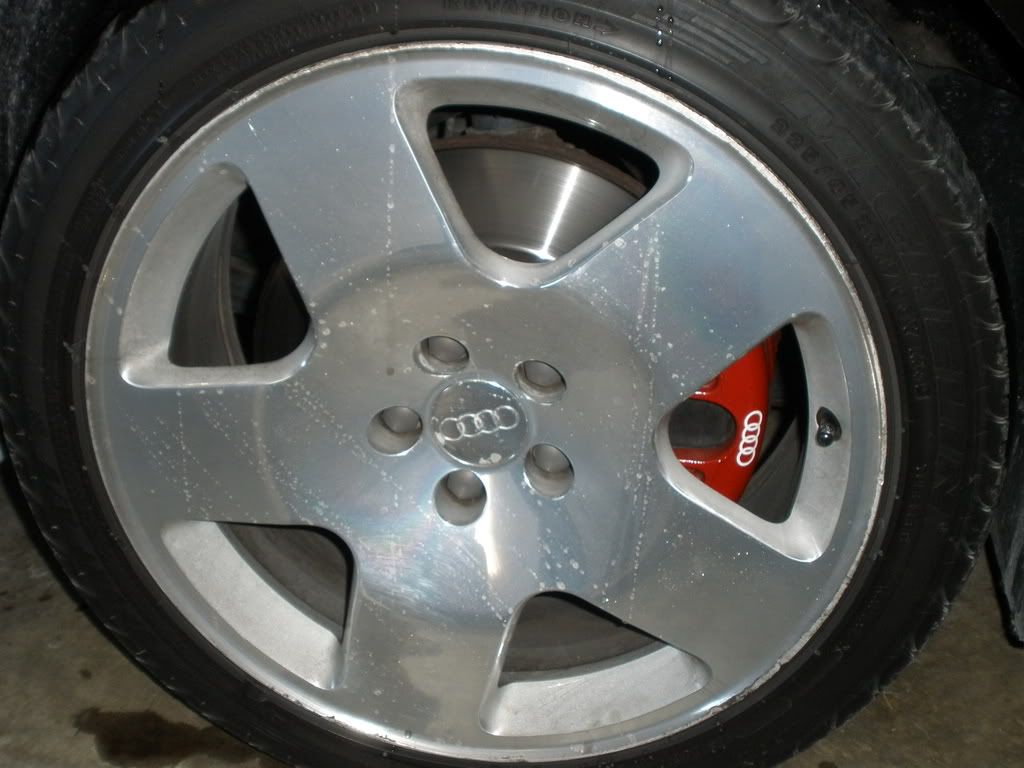 Feb2009036.jpg