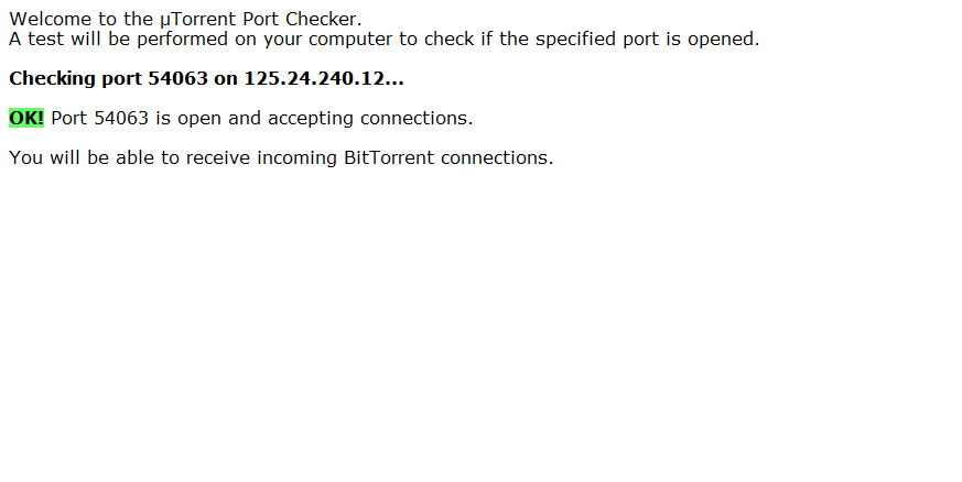 TorrentPortChecker.png