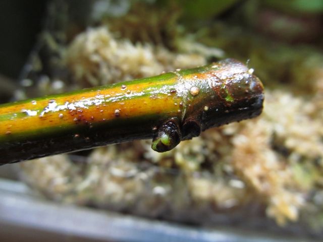 [IMG_3192_zps6eced417]