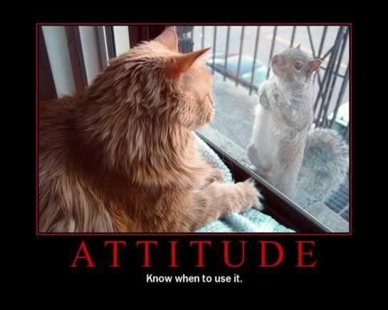 attitude.jpg image by blmw4