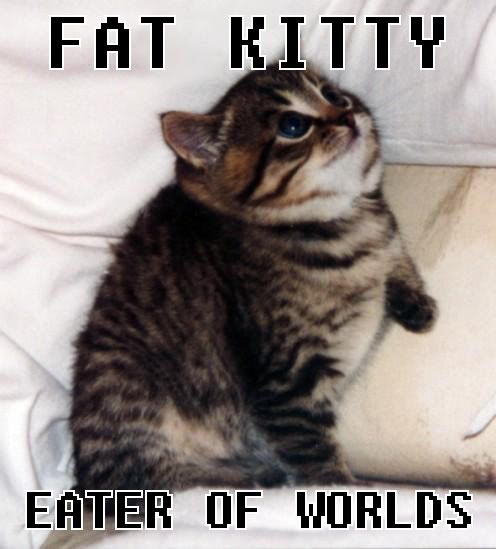 fatkitty.jpg