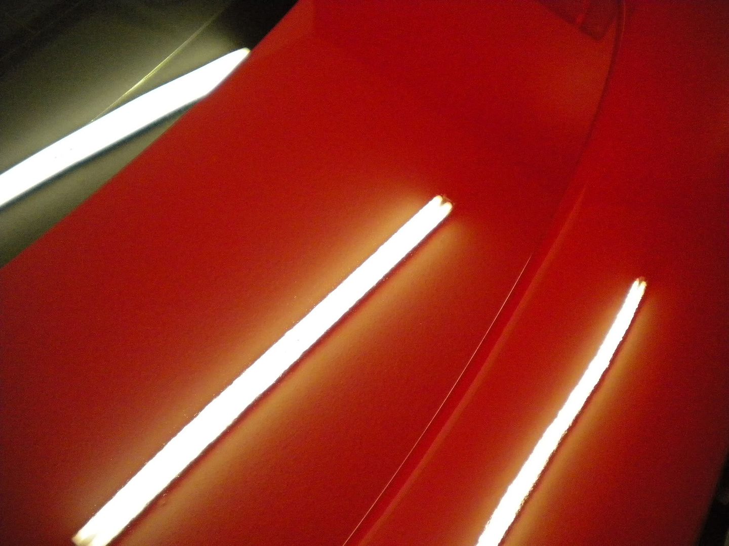 DSCN0870.jpg