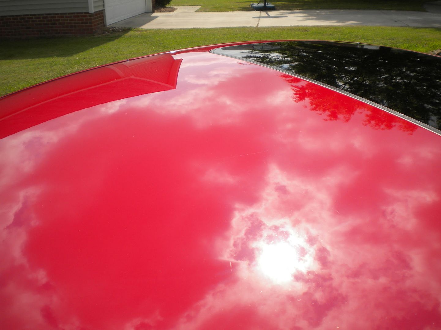 DSCN0875.jpg