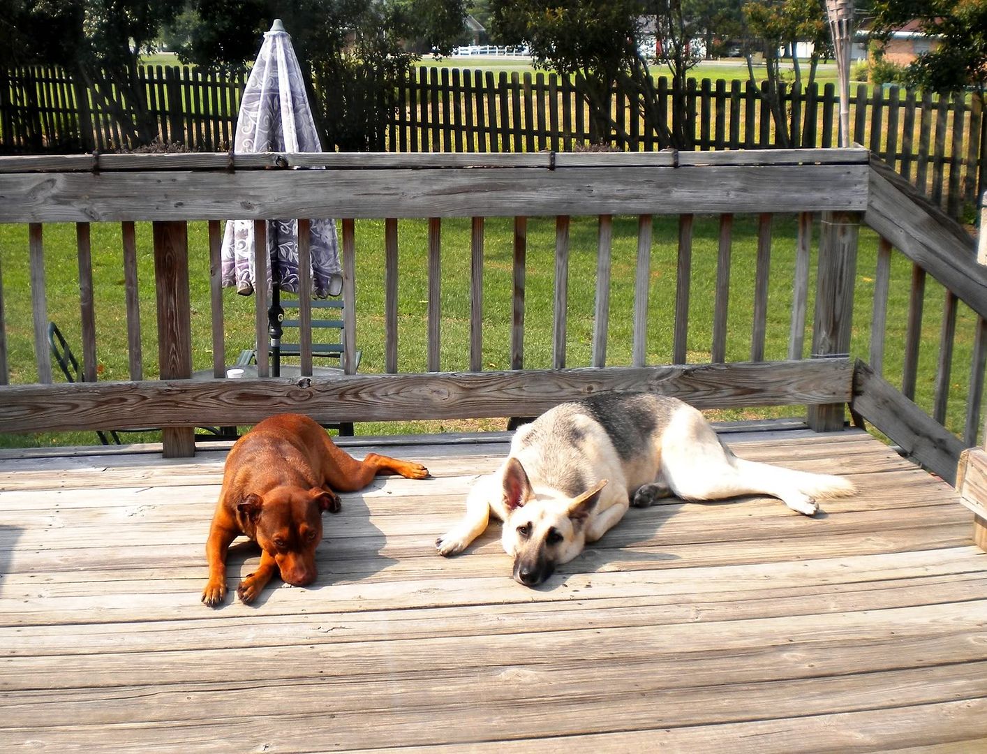 DSCN1190.jpg