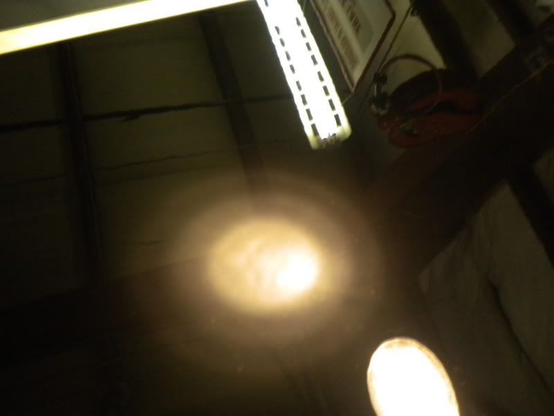 DSCN3079.jpg