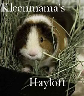 Kleenmama's Hayloft
