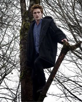 Twilight-208-Edit-large.jpg image by Charl0tt3-0x