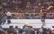 Tombstone Piledriver Pictures, Images and Photos