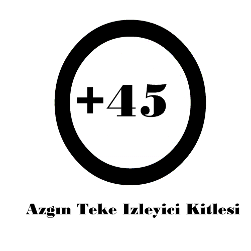 130657131a.gif