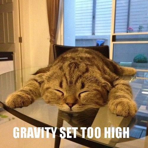 catgravitysettoohigh_zps584586a6.jpg