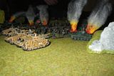 CounterAttacks037.jpg Get in There StuG's image by stefanpanzer_2007