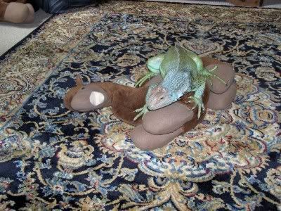 100_1117.jpg