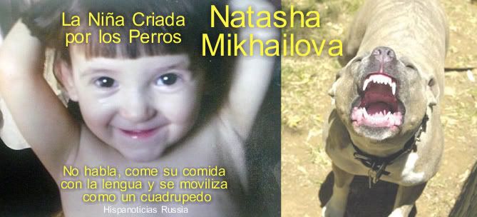 Esta es la primera foto de Natasha Mikhailova a los cinco años de edad la niña que fue criada por los perros luego de que sus padres la abandonaron. - natasha