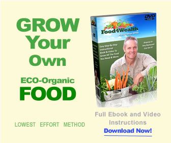 Food 4 Wealth