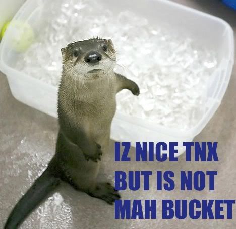 57-otter_no_bucket.jpg